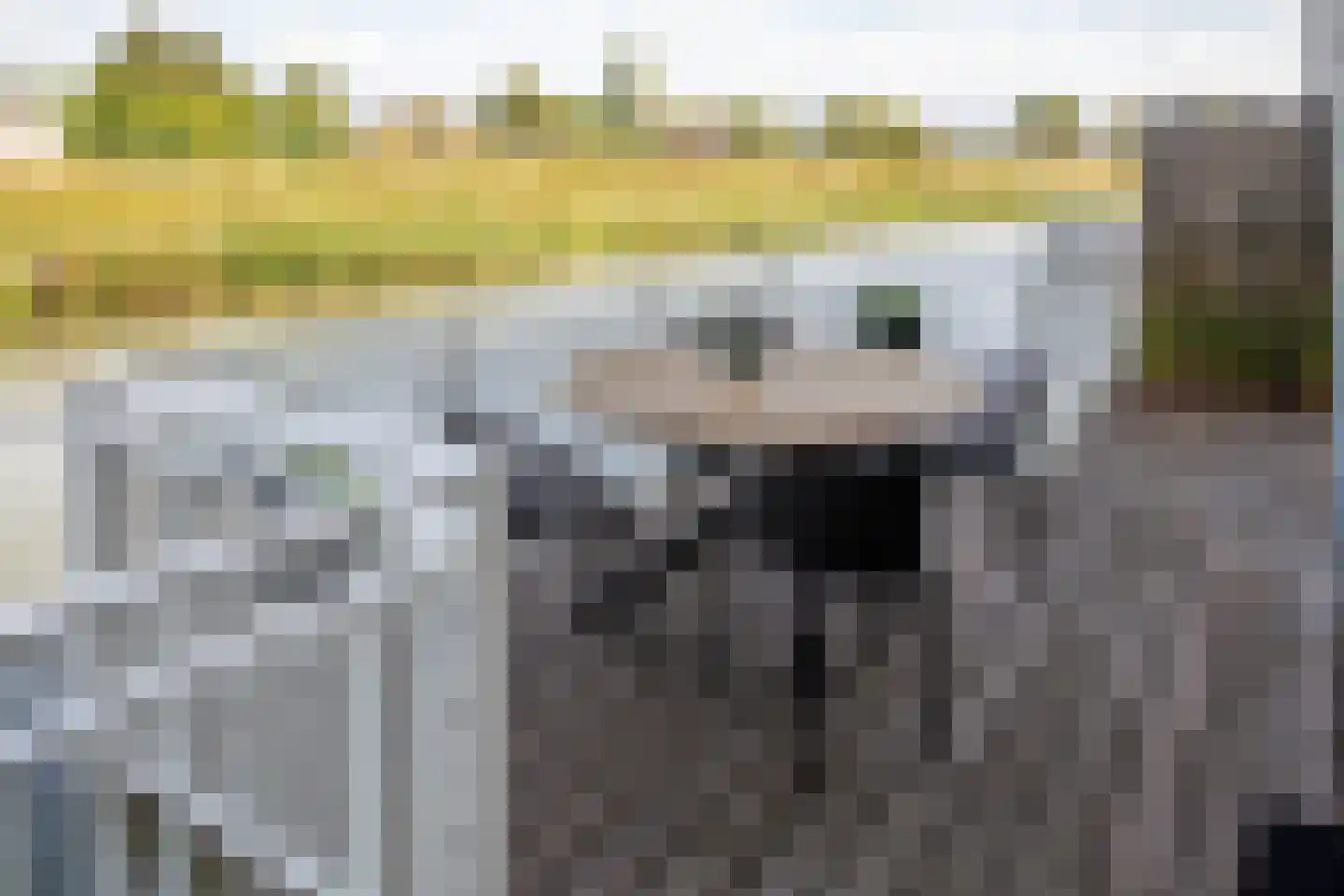 J van Damstraat 17 Kesteren thumbnail 5