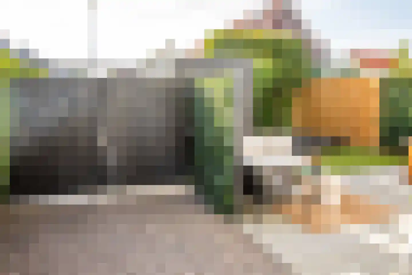 J van Damstraat 17 Kesteren thumbnail 56
