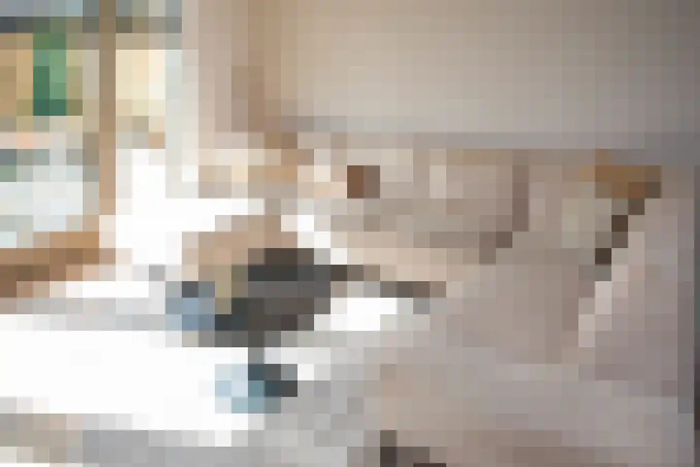 J van Damstraat 17 Kesteren thumbnail 58