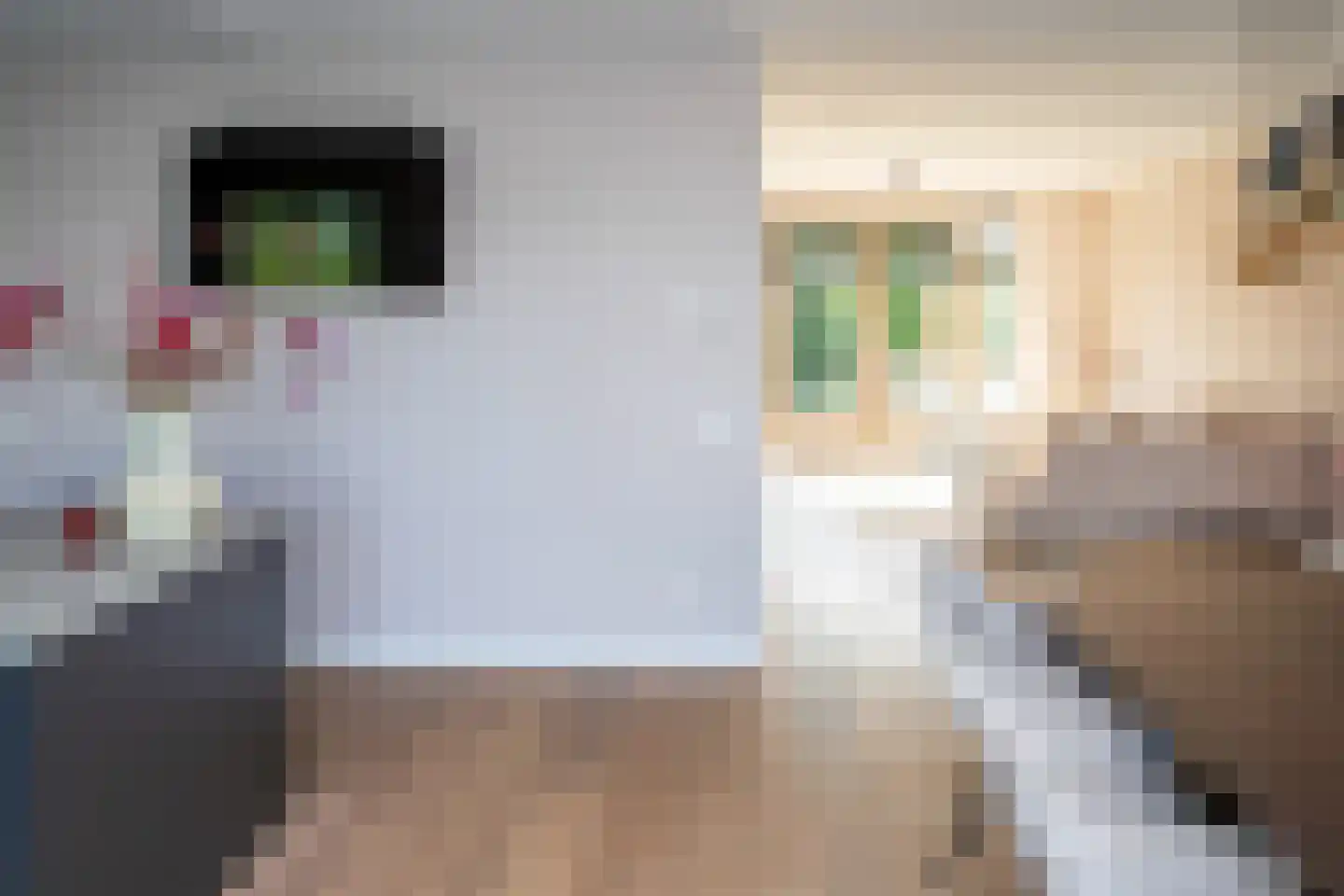J van Damstraat 17 Kesteren thumbnail 61