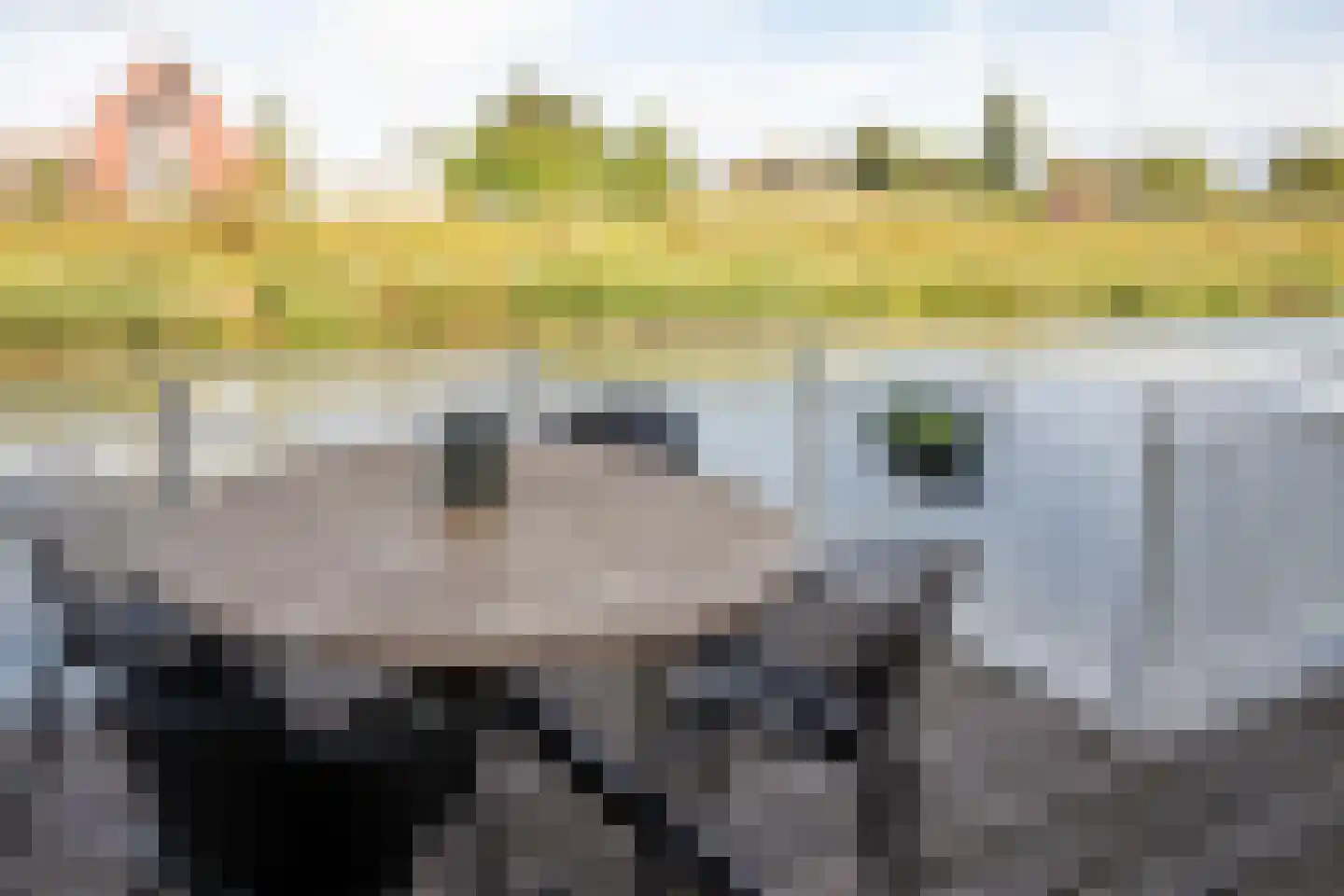J van Damstraat 17 Kesteren thumbnail 70