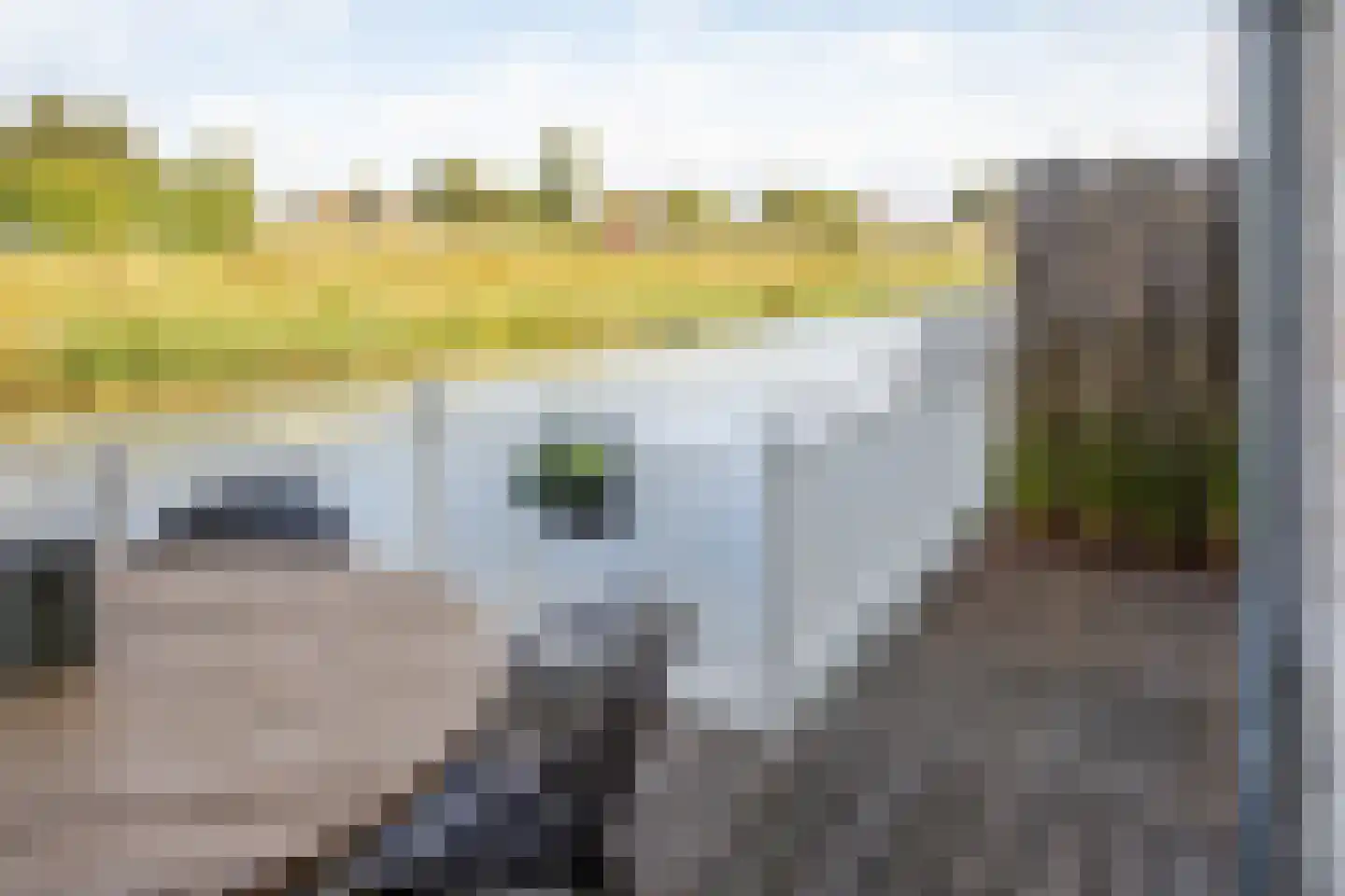 J van Damstraat 17 Kesteren thumbnail 71