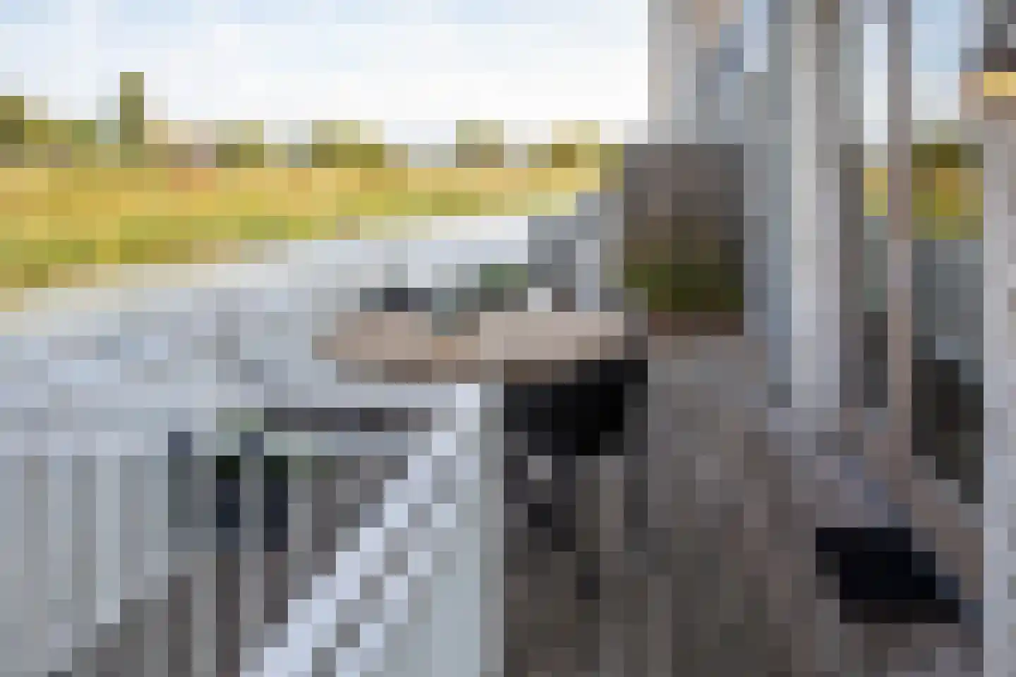 J van Damstraat 17 Kesteren thumbnail 72