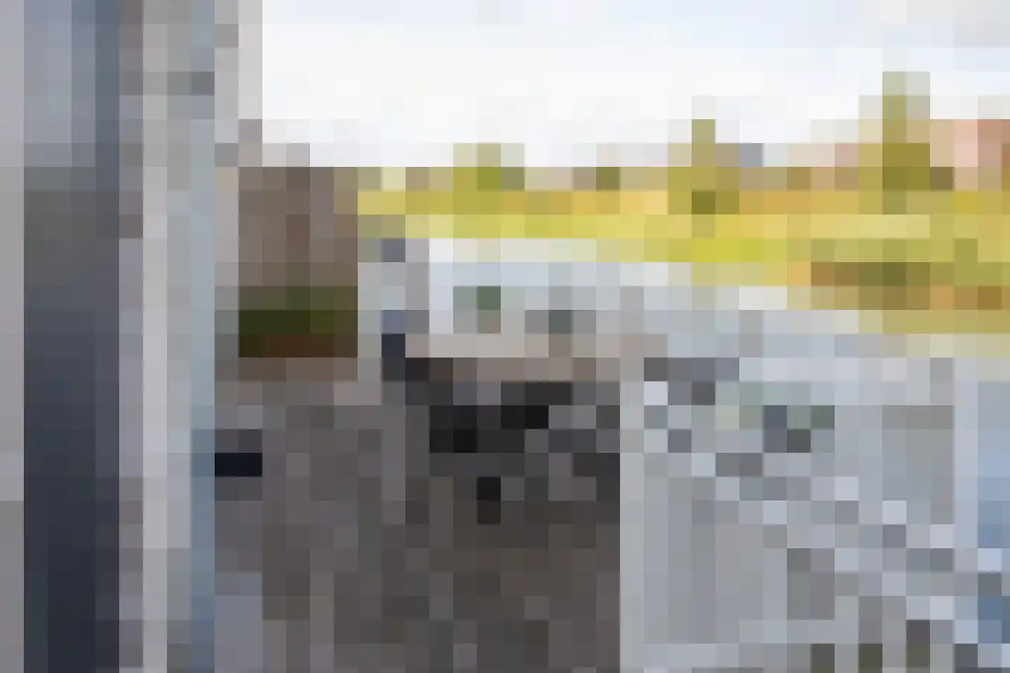 J van Damstraat 17 Kesteren thumbnail 73