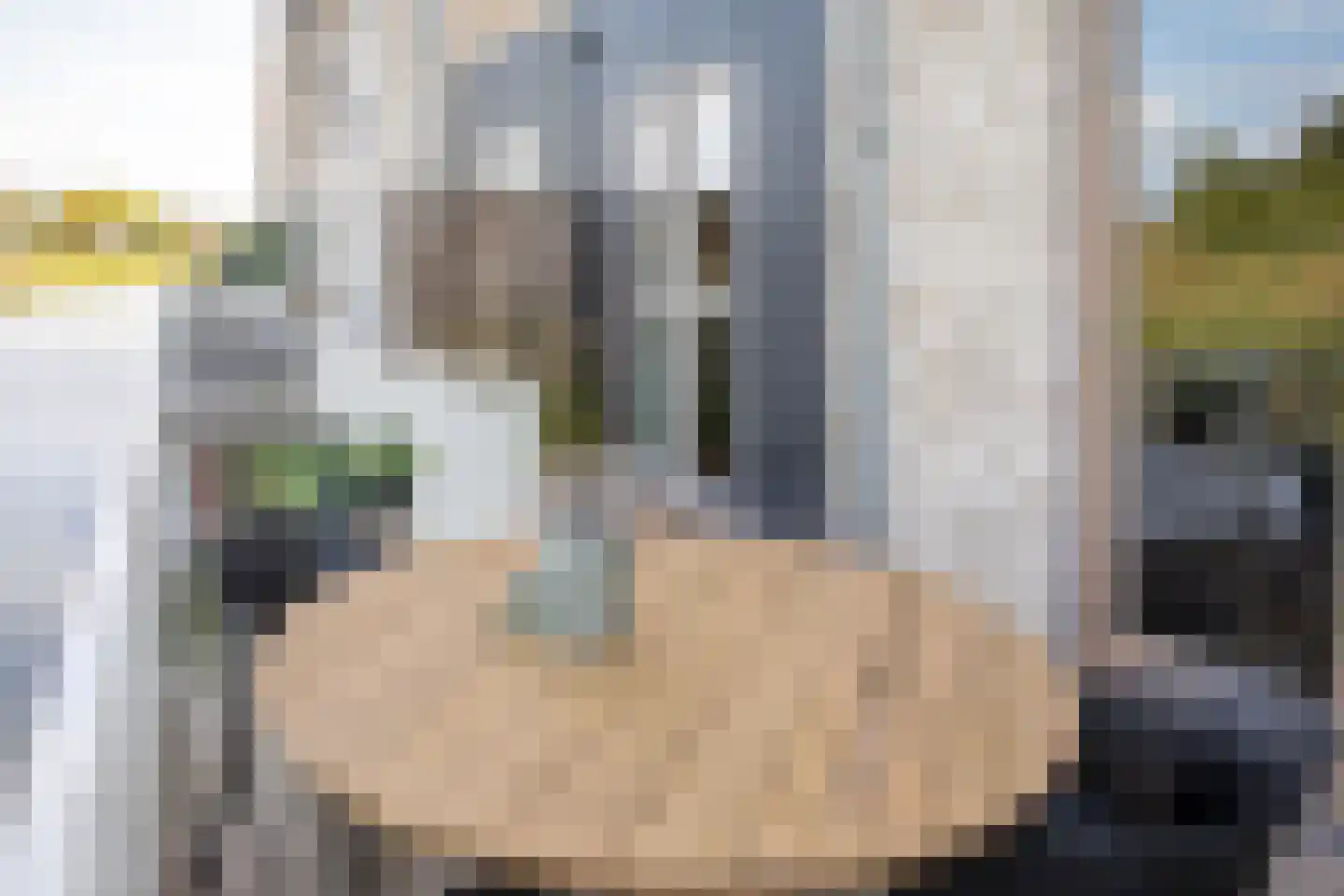 J van Damstraat 17 Kesteren thumbnail 75
