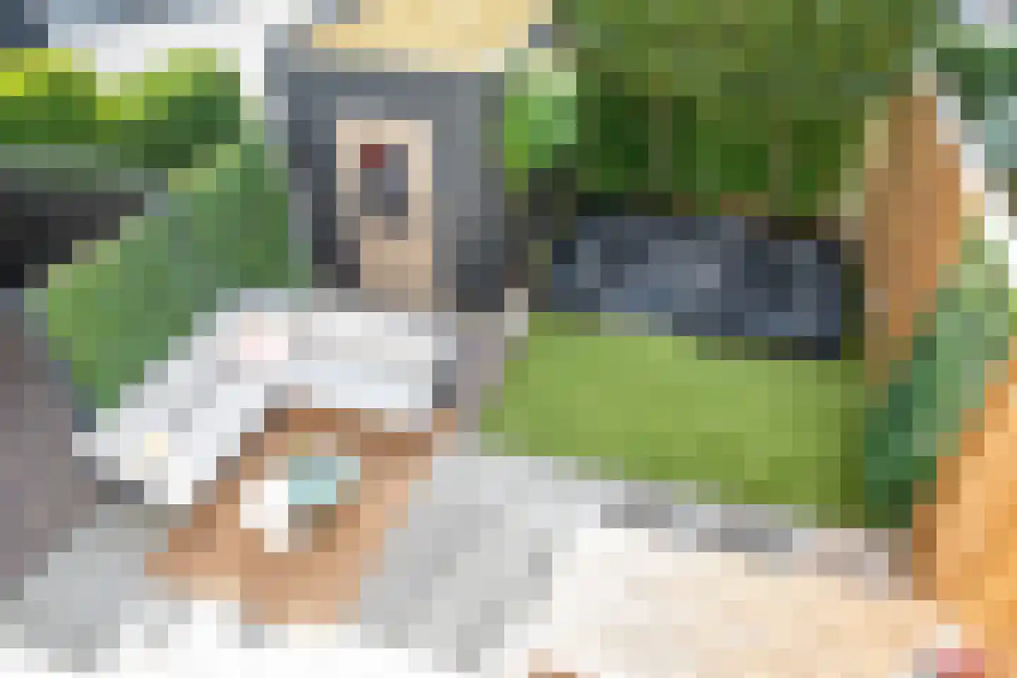 J van Damstraat 17 Kesteren thumbnail 79