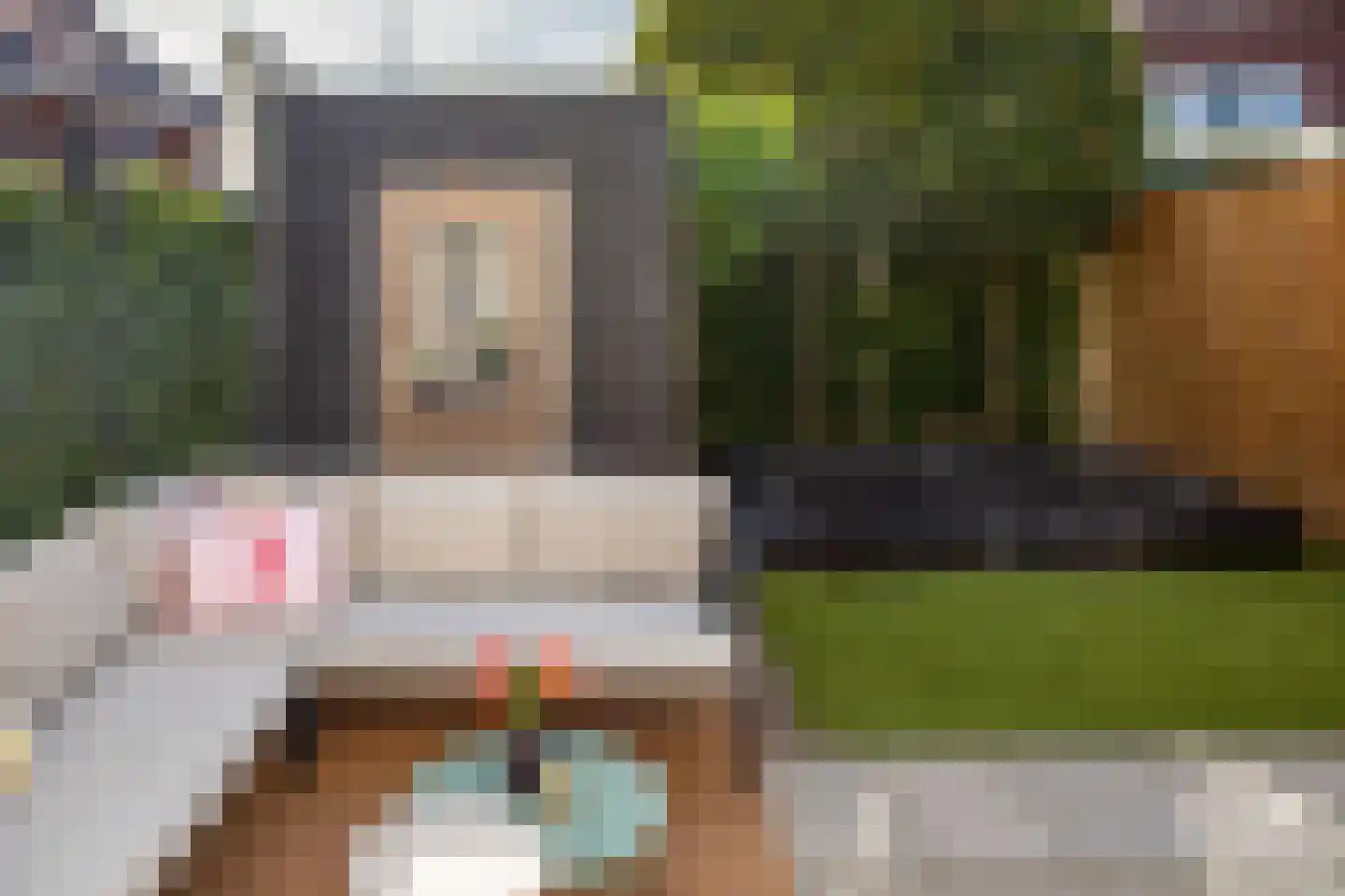 J van Damstraat 17 Kesteren thumbnail 94