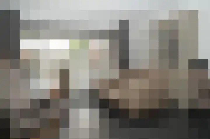 J van Damstraat 2 Kesteren thumbnail 10