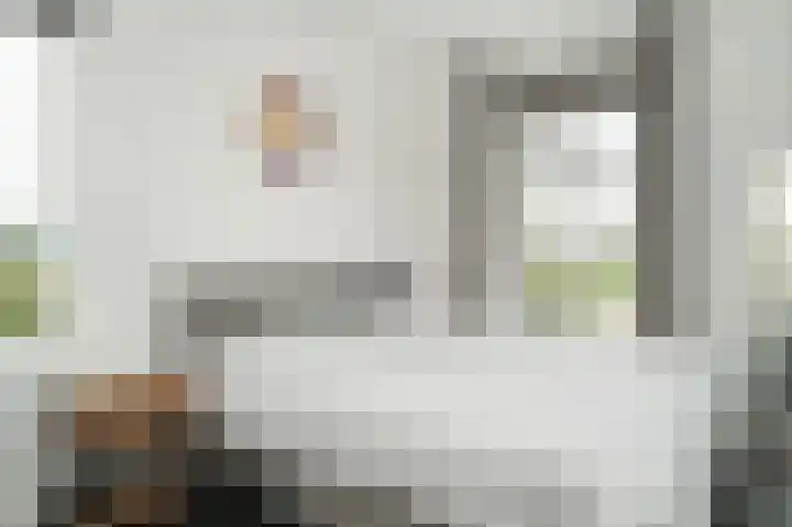 J van Damstraat 2 Kesteren thumbnail 12