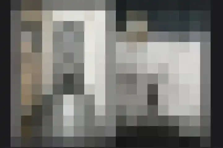 J van Damstraat 2 Kesteren thumbnail 15