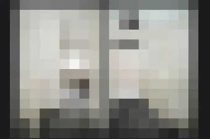J van Damstraat 2 Kesteren thumbnail 18