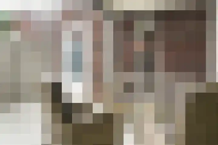 J van Damstraat 2 Kesteren thumbnail 23
