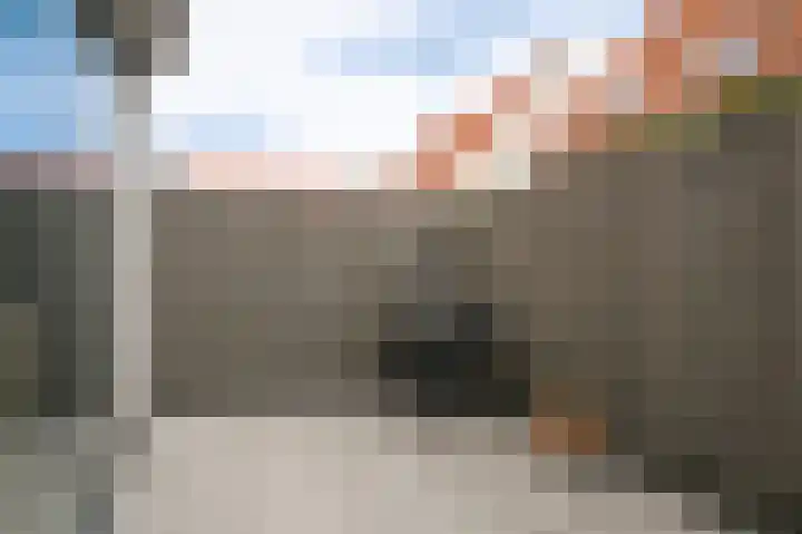 J van Damstraat 2 Kesteren thumbnail 27