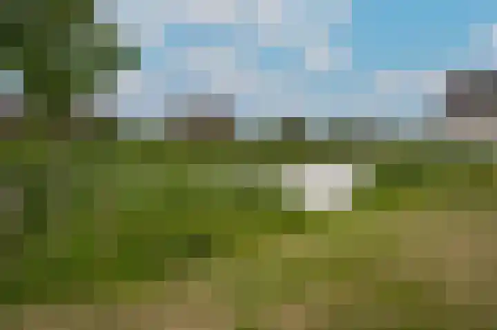 J van Damstraat 2 Kesteren thumbnail 28
