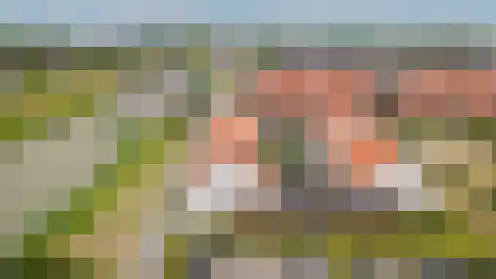 J van Damstraat 2 Kesteren thumbnail 30