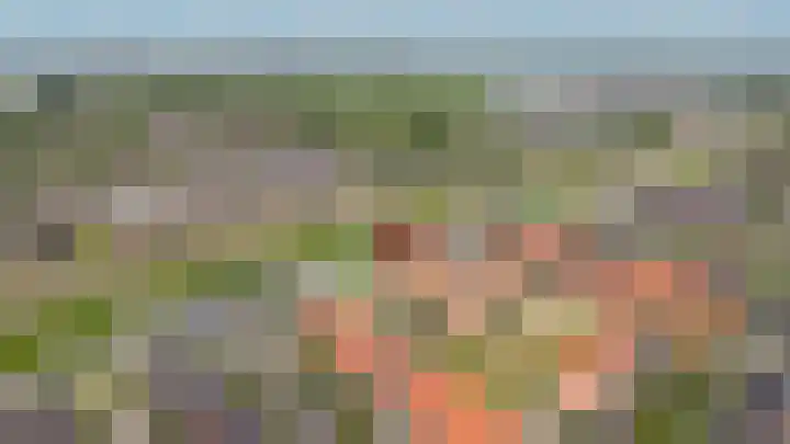 J van Damstraat 2 Kesteren thumbnail 31