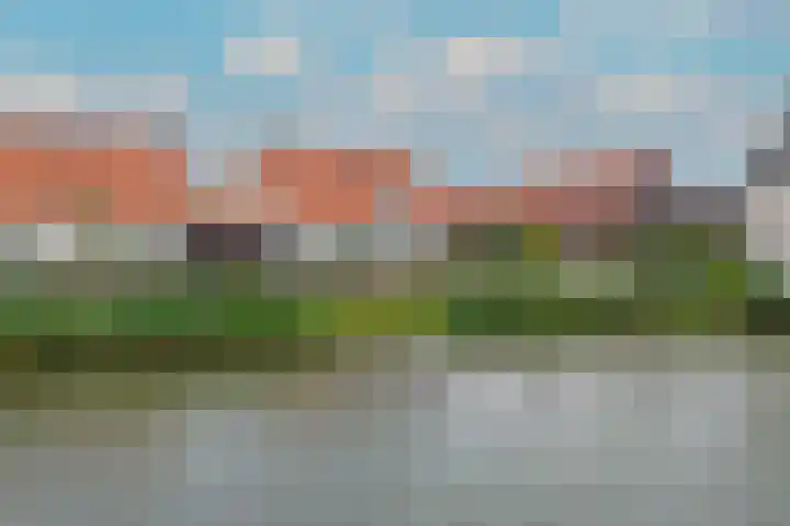 J van Damstraat 2 Kesteren thumbnail 4