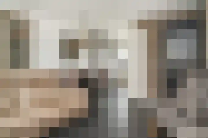J van Damstraat 2 Kesteren thumbnail 7