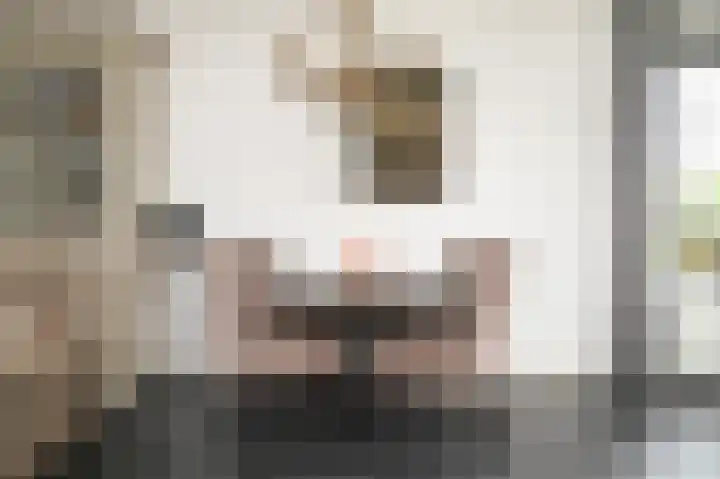 J van Damstraat 2 Kesteren thumbnail 8