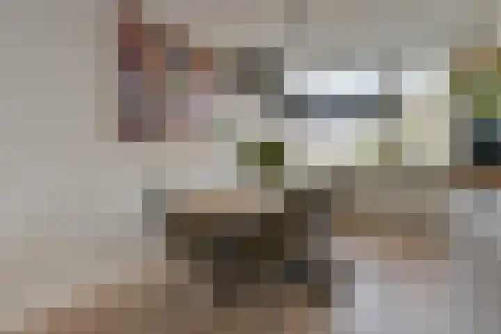 J. van de Veldelaan 142 Heerhugowaard thumbnail 10