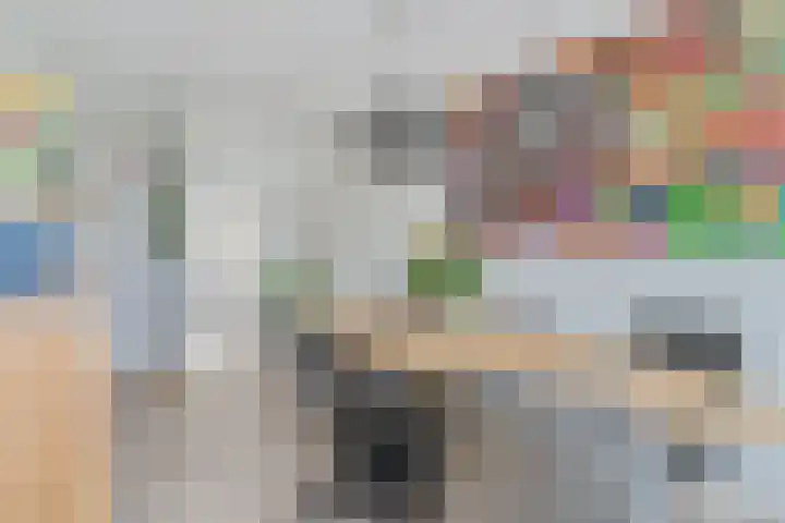 J. van de Veldelaan 142 Heerhugowaard thumbnail 13