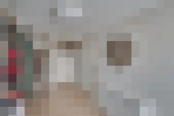 J. van de Veldelaan 142 Heerhugowaard thumbnail 4
