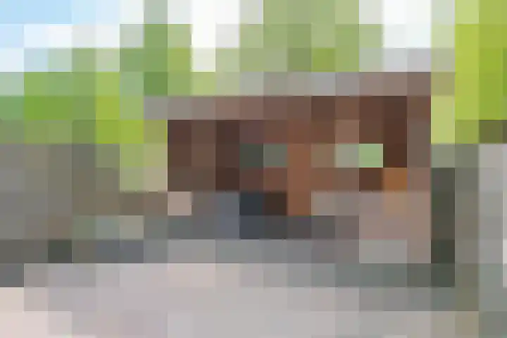 J. van de Veldelaan 142 Heerhugowaard thumbnail 46