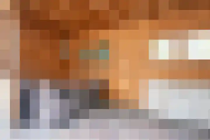 J. van de Veldelaan 142 Heerhugowaard thumbnail 47