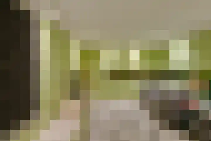 J. van de Veldelaan 142 Heerhugowaard thumbnail 8