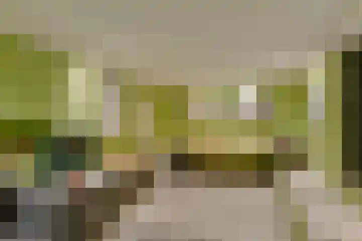 J. van de Veldelaan 142 Heerhugowaard thumbnail 9