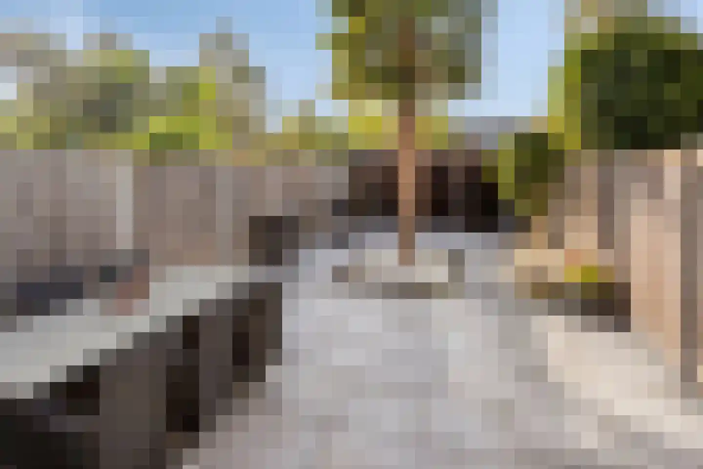 J. van de Veldelaan 36 Heerhugowaard thumbnail 25