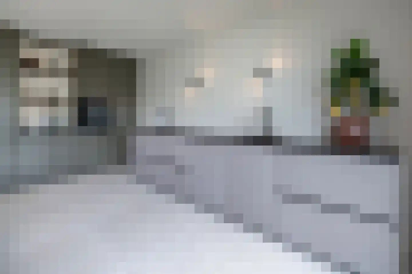 J. van den Broekstraat 7 Barneveld thumbnail 12