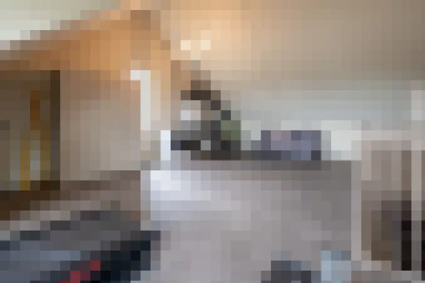 J. van den Broekstraat 7 Barneveld thumbnail 33