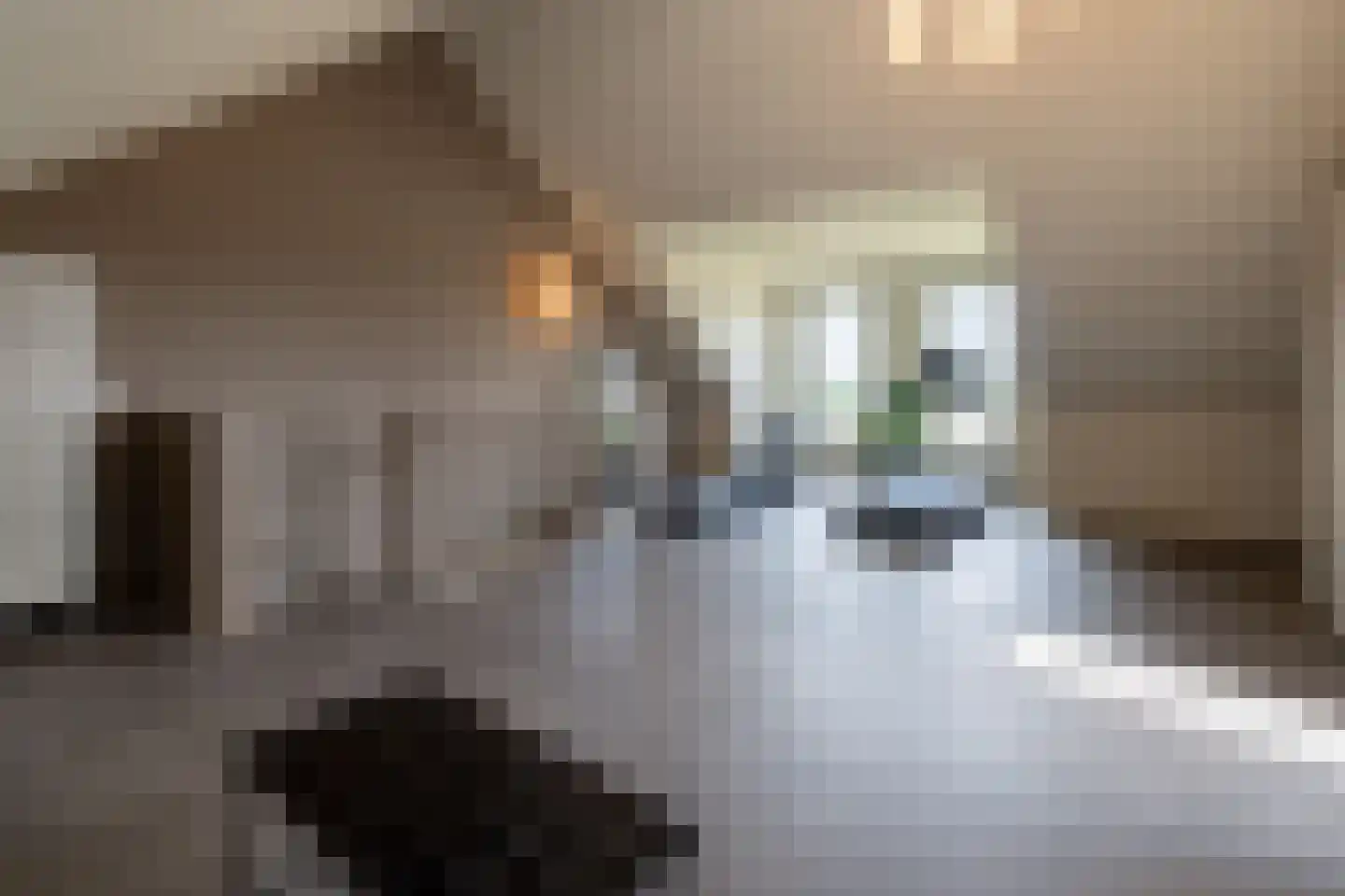 J. van den Broekstraat 7 Barneveld thumbnail 34