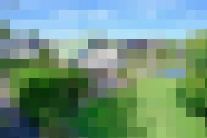 J. van der Haarpark 17 Nieuwkoop thumbnail 25