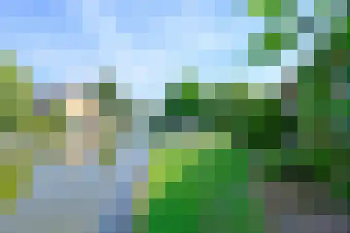 J. van der Haarpark 17 Nieuwkoop thumbnail 28