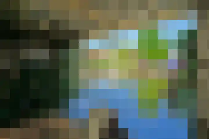 J. van der Haarpark 17 Nieuwkoop thumbnail 29