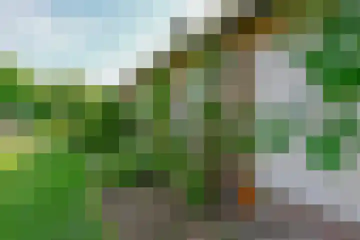 J. van der Haarpark 17 Nieuwkoop thumbnail 30