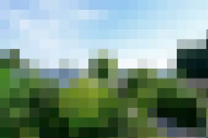 J. van der Haarpark 17 Nieuwkoop thumbnail 32