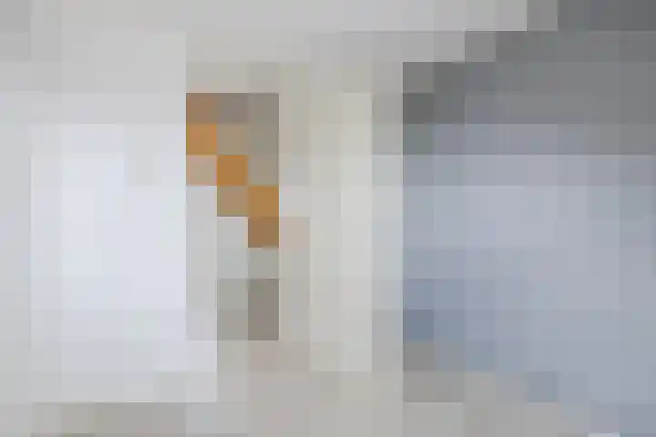 J van der Veenstraat 26 Hoogeveen thumbnail 22