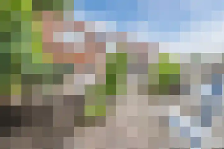J van der Veenstraat 26 Hoogeveen thumbnail 30