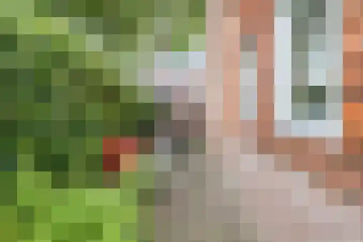 J van der Veenstraat 26 Hoogeveen thumbnail 35