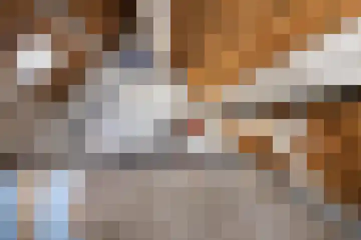 J van der Veenstraat 36 Hoogeveen thumbnail 12