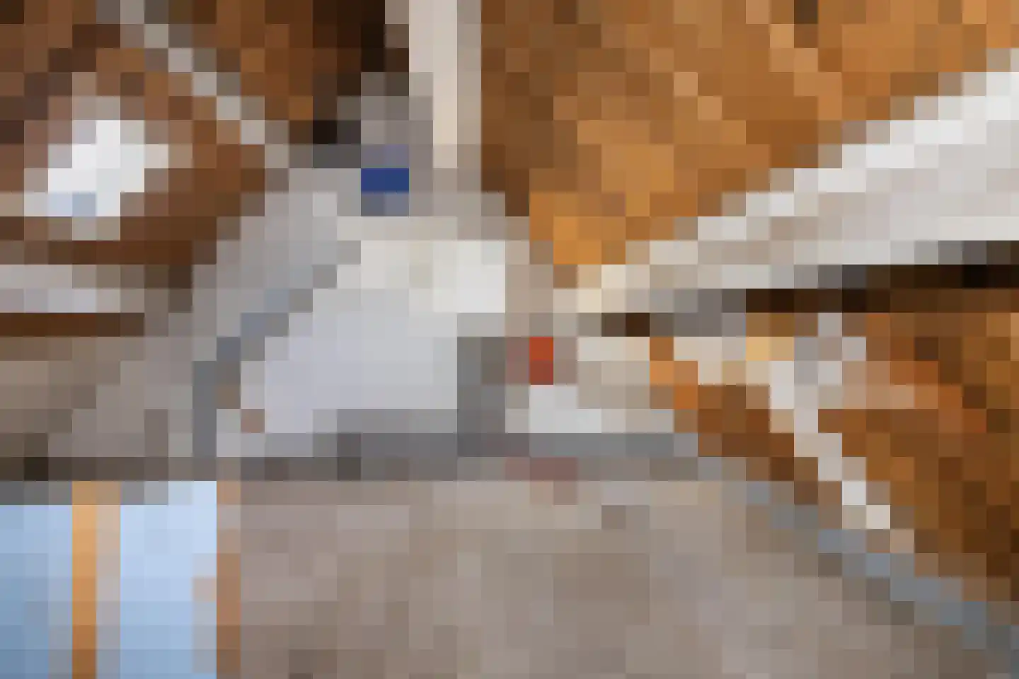 J van der Veenstraat 36 Hoogeveen thumbnail 12
