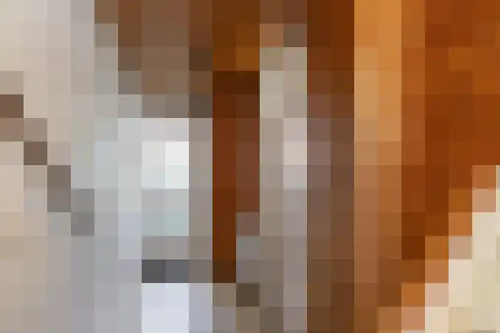 J van der Veenstraat 36 Hoogeveen thumbnail 4