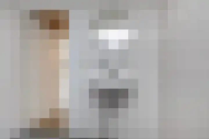 J van der Veenstraat 36 Hoogeveen thumbnail 6