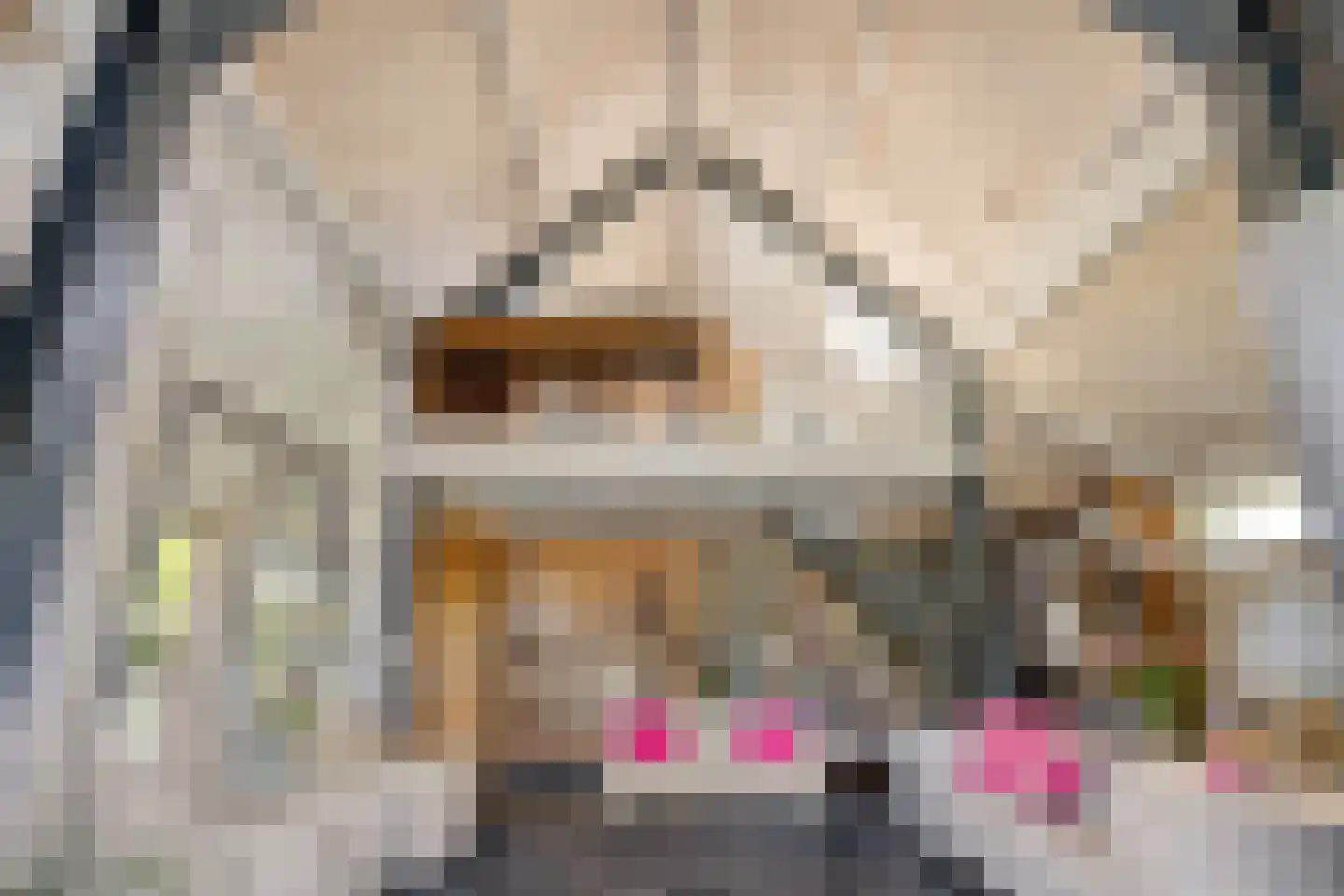 J van der Veenstraat 36 Hoogeveen thumbnail 9