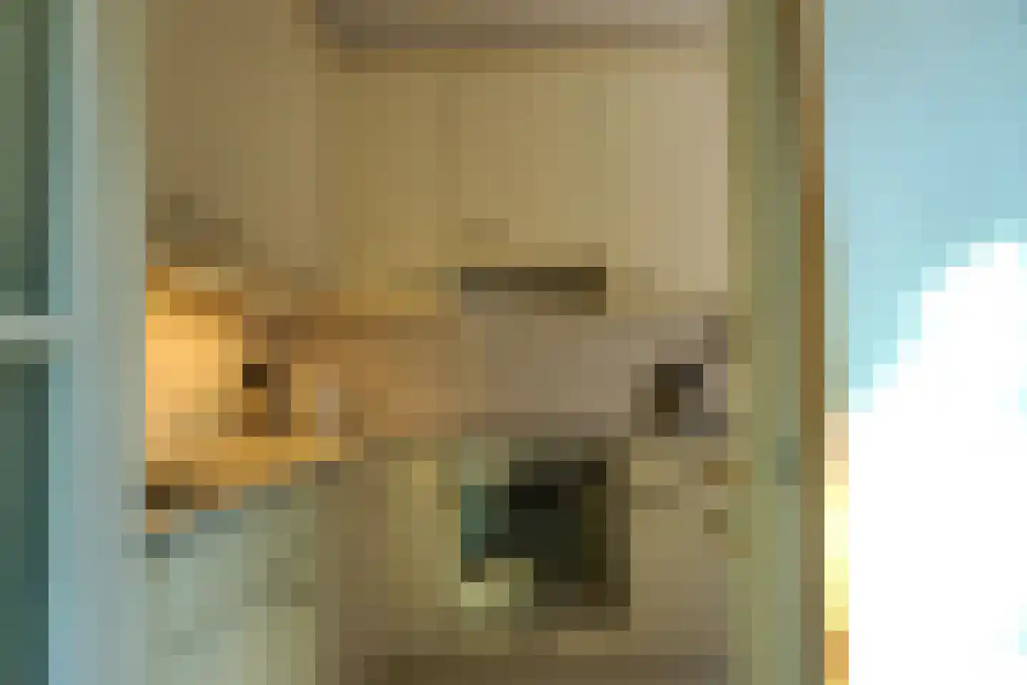 J. van der Veerstraat 12 Julianadorp thumbnail 11