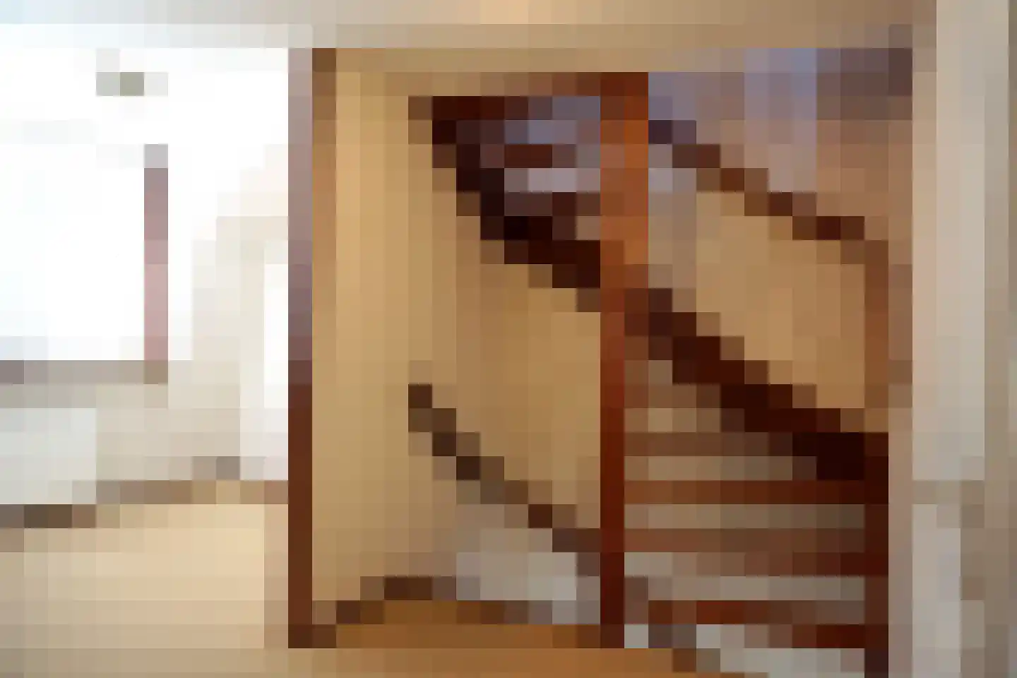 J. van der Veerstraat 12 Julianadorp thumbnail 18