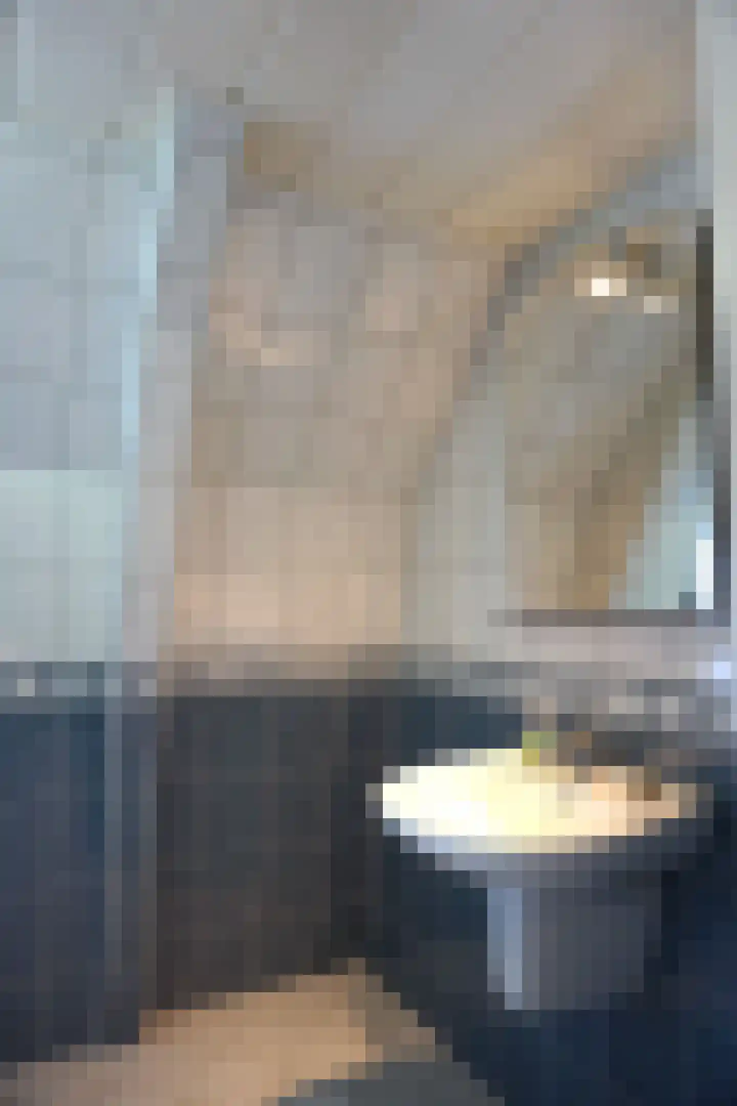 J. van der Veerstraat 12 Julianadorp thumbnail 25